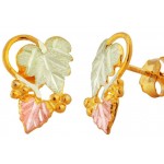 Earrings - by Landstrom's